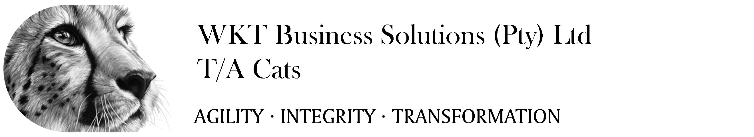 WKT Business Solutions